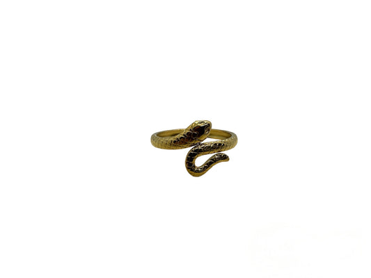 Anello snake